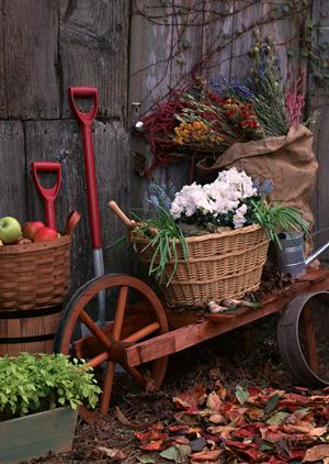 名古屋駅前ショールーム｜タカラスタンダードの魅力とアクセス情報