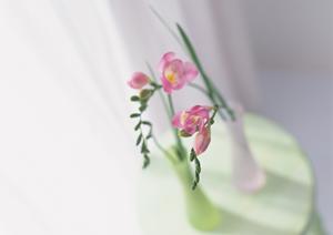 北海道札幌市白石区にあるタカラスタンダードのショールーム:最新設備と専門スタッフがサポートする住空間リフォームの拠点