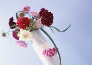 お気に入りの樹種で無垢フローリング