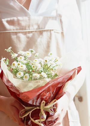 インプラスの格安購入ガイド2025年版｜コスパ最高の選び方とおすすめ商品