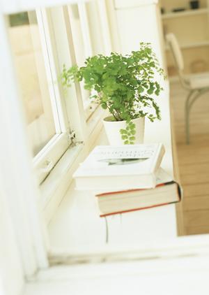 結果を左右する展示会装飾を確かなものに