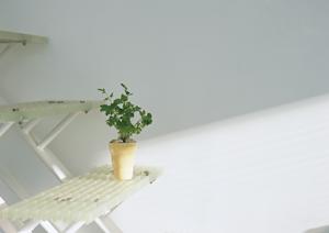 「浴室ドアの交換ガイド:費用、施工の信頼性、おしゃれなデザインを徹底解説」